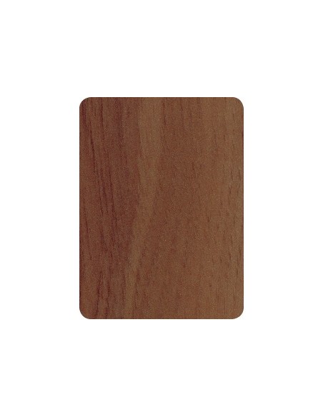Eastern Pecan 1324