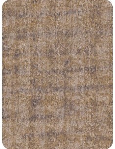 Cerro Nuez 1904